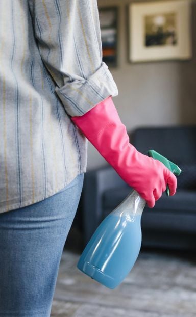 Acc&eacute;der &agrave; l'article M&eacute;nage de printemps